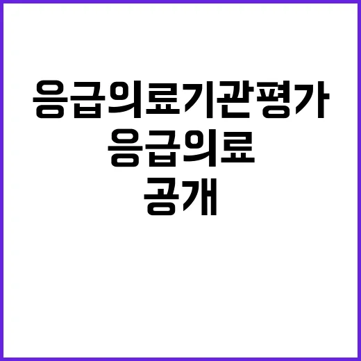 응급의료기관평가 불…