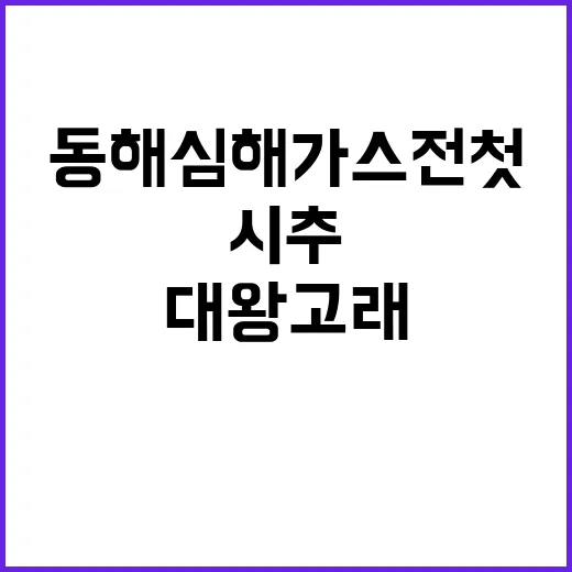 대왕고래 구조 동해…