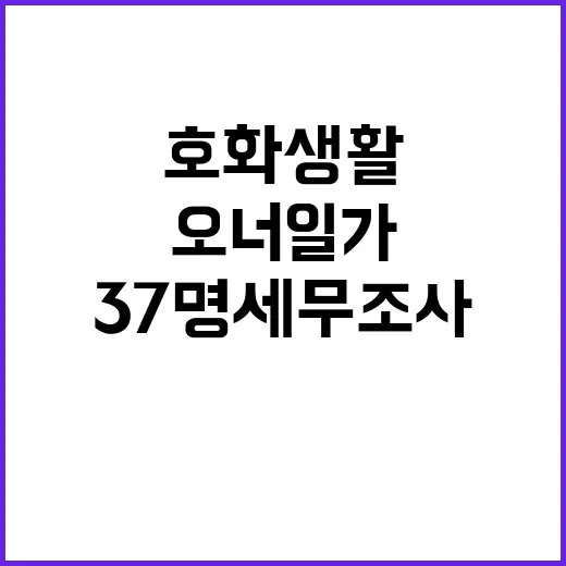 국세청 호화 생활 …