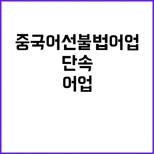 중국어선 불법 어업 무관용 단속 시작된다!