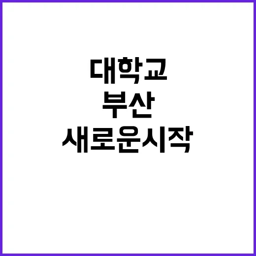 부산대학교병원 정규…