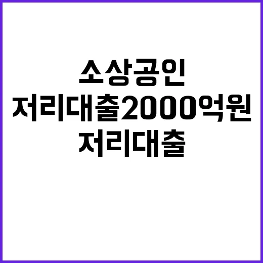 저리대출 2000억…