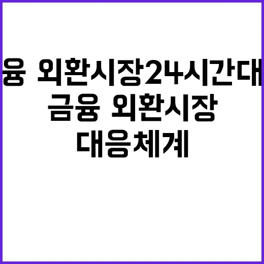 안정세 금융·외환시장 24시간 대응체계 완비!