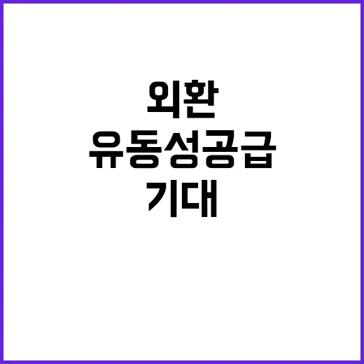 정부 유동성 공급 중…외환수급 개선 기대 상승!