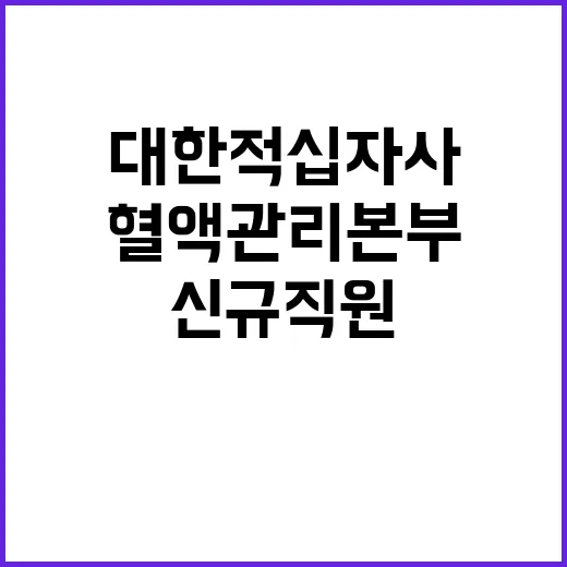 대한적십자사 정규직…