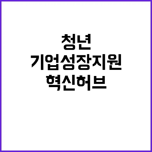 혁신허브 청년 기업…