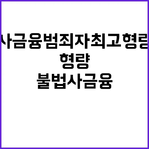 불법사금융 범죄자 …