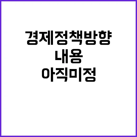 경제정책 방향 자세한 내용 아직 미정이라고 발표!