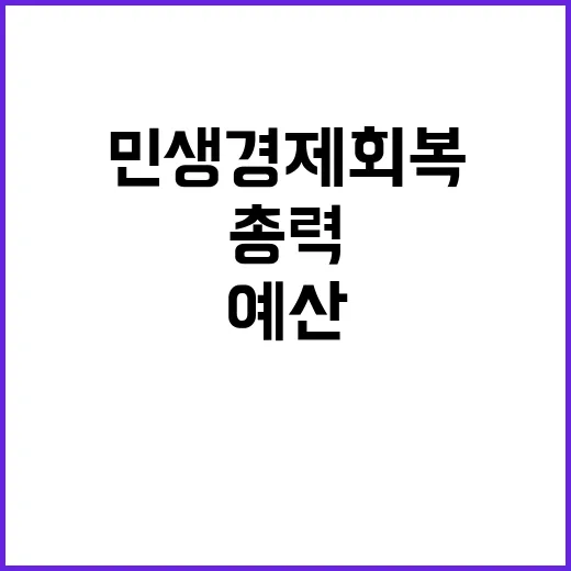 예산 집중 집행 민생경제 회복 총력의 비밀!