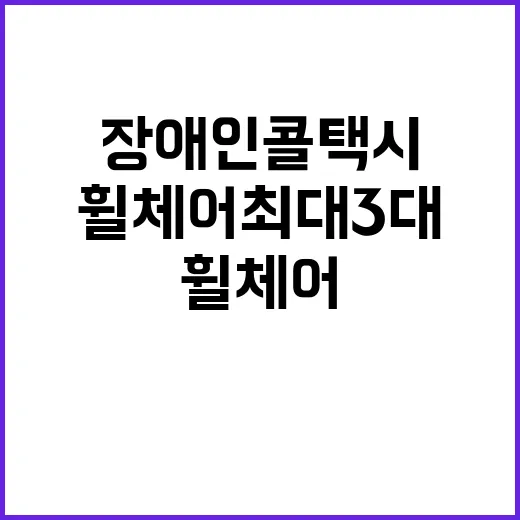 장애인콜택시 휠체어…