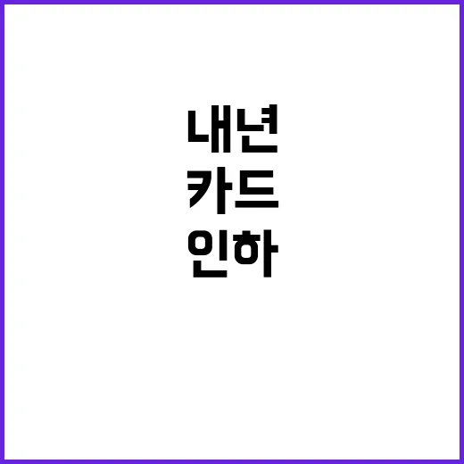 영세가맹점 카드 수…