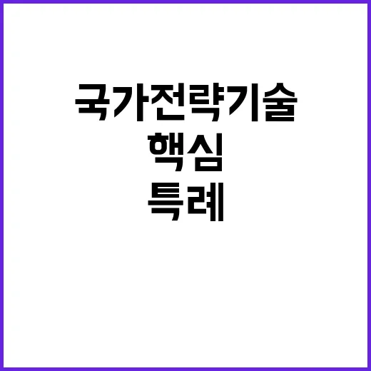 핵심사업 국가전략기…