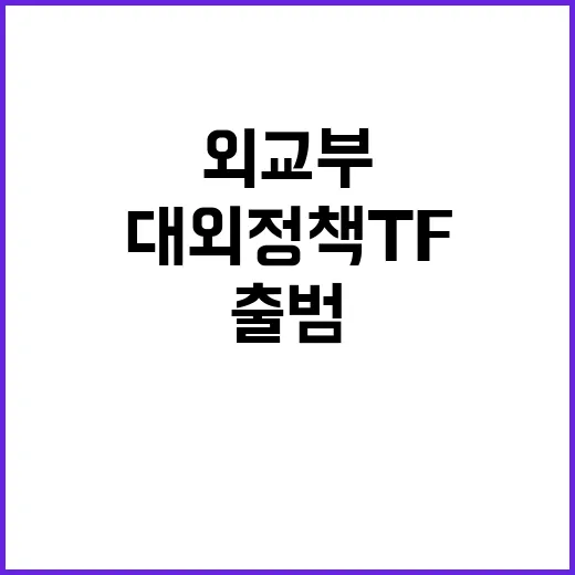 미국 대외정책 TF 외교부 공식 출범 소식!