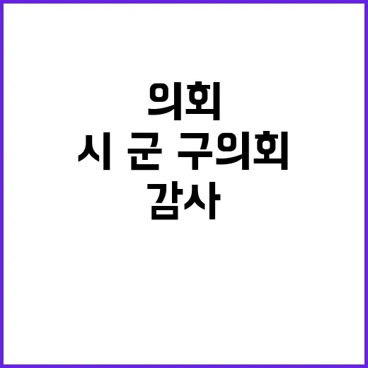 행안부 결정 시·군·구 의회 감사 조항 제거!