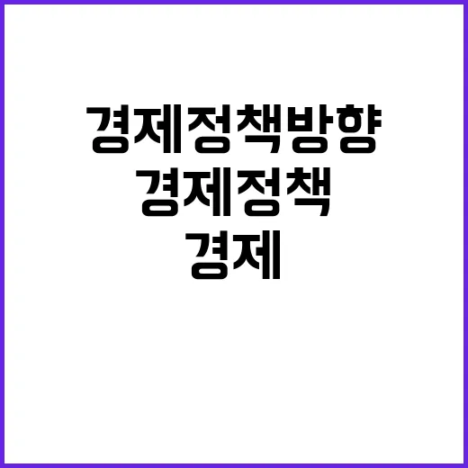 경제정책방향 사실은 아직 결정되지 않았습니다!