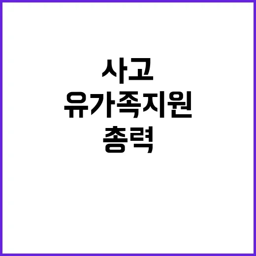 사고 정부 제주항공 유가족 지원 총력 공조!