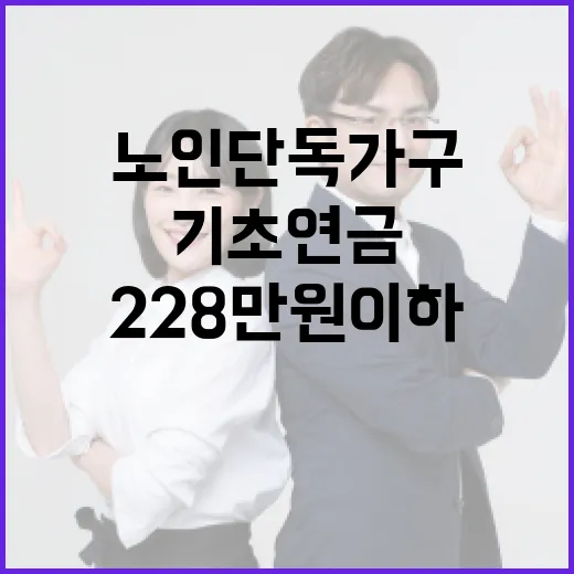 기초연금 노인 단독가구 월 228만원 이하 필요!