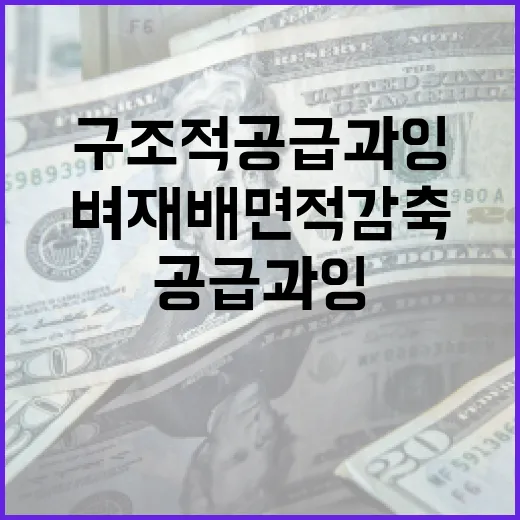 구조적 공급과잉 벼 재배면적 감축 필수!