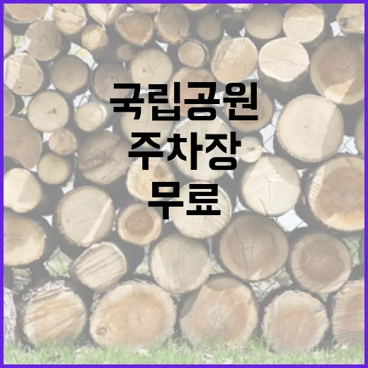 국립공원 무료 주차장 쓰레기 단속 강화!