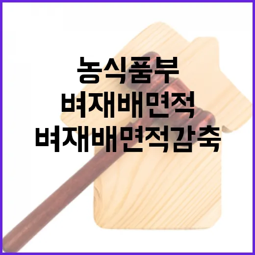 농식품부 벼 재배 면적 감축 통지는 사실무근