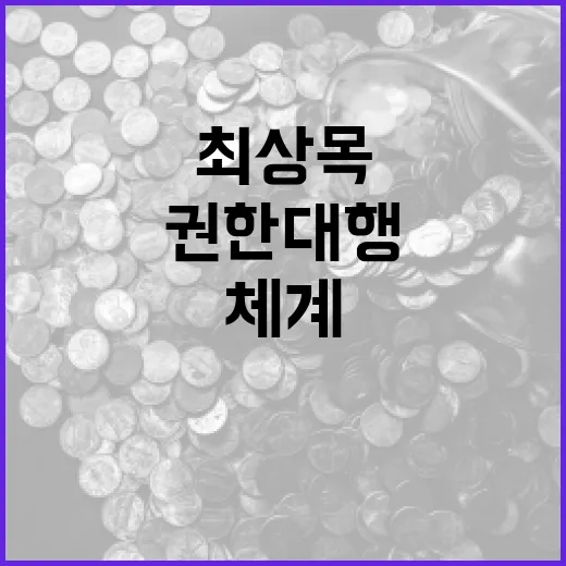 금융·외환시장 점검체계 최상목 권한대행의 당부!