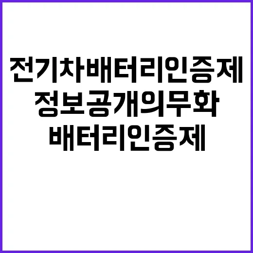 전기차 배터리 인증…