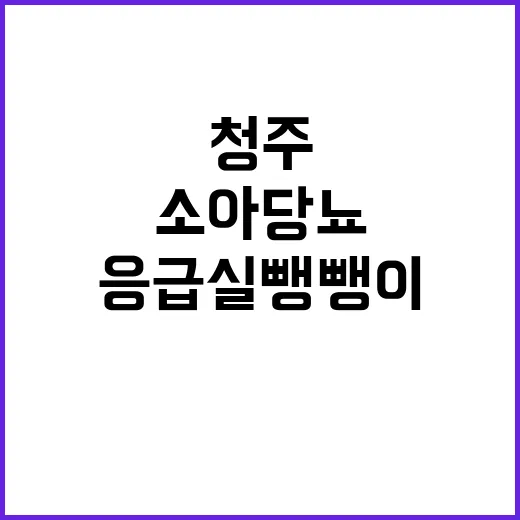 응급실 뺑뺑이 청주…