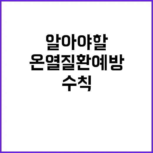 온열질환 예방, 당신이 알아야 할 건강 수칙!