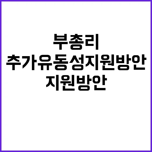 경제부총리, 추가 …