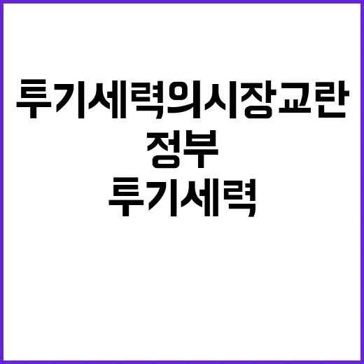 투기세력의 시장 교란, 정부의 강력한 대응 필요!