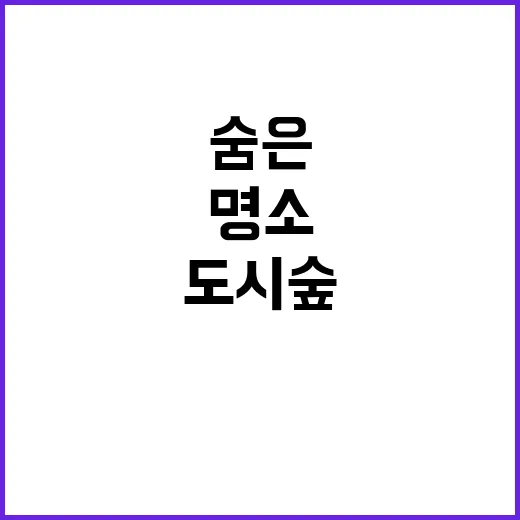 도시숲 도심 속 숨…