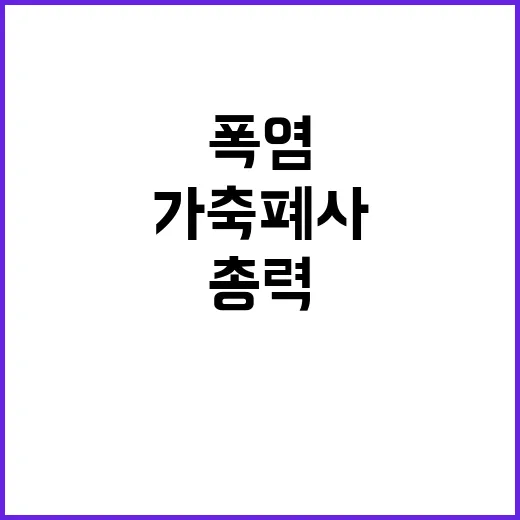 폭염 가축 폐사, …