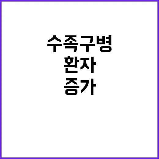 수족구병, 증가하는 환자와 소독 방법 공개!