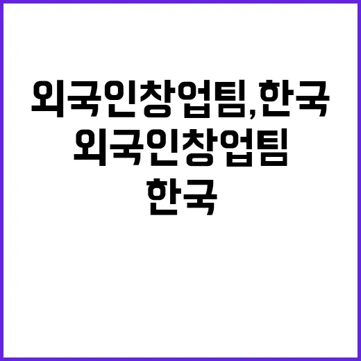 외국인 창업팀, 한…