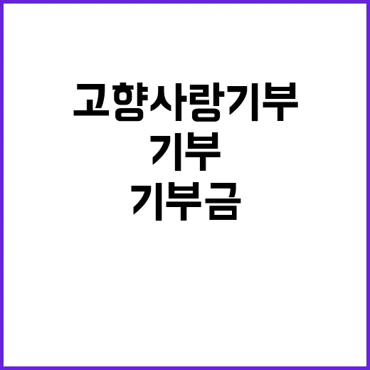 고향사랑기부금, 문…