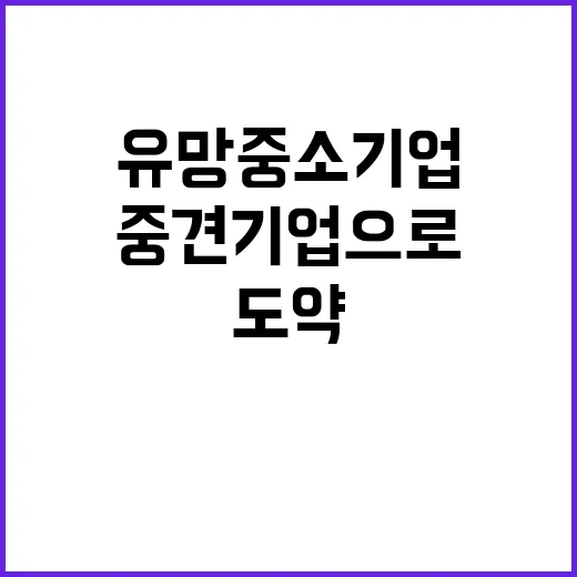 유망 중소기업, 중견기업으로 도약하는 비결 공개!