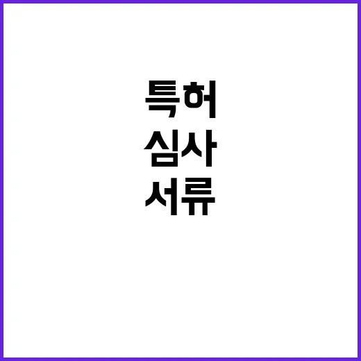 특허 심사 제출 서…