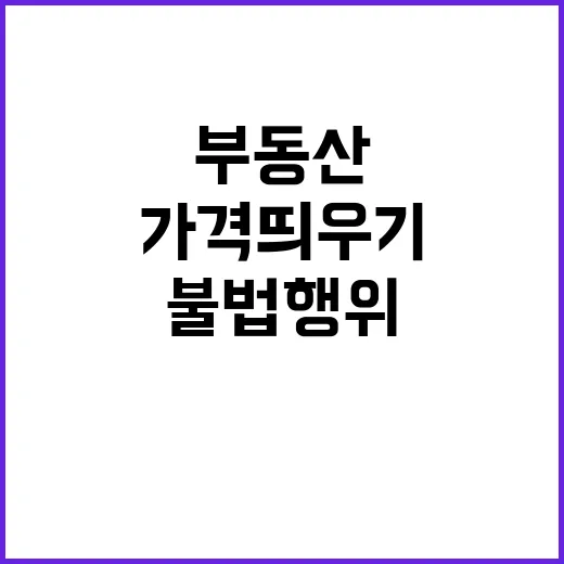 부동산 조사 가격 띄우기 불법행위의 충격 진실!