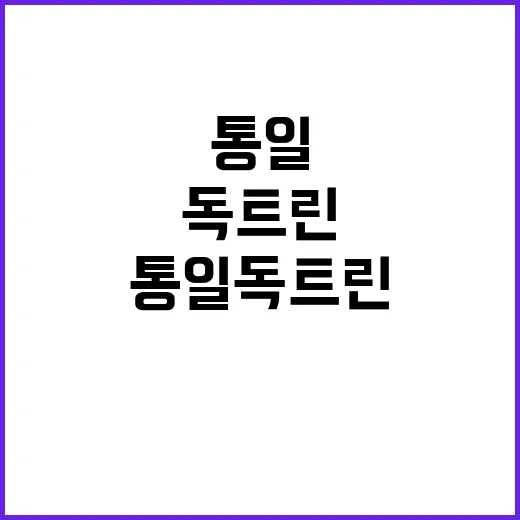 통일 독트린 현실 …