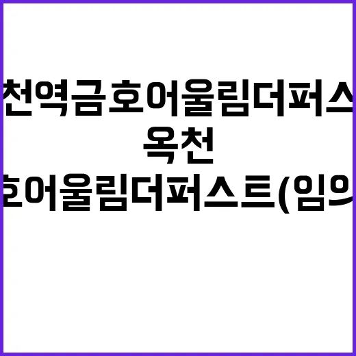 옥천역 금호어울림 더퍼스트(임의공급 4차) 청약 기회 놓치지 마세요!