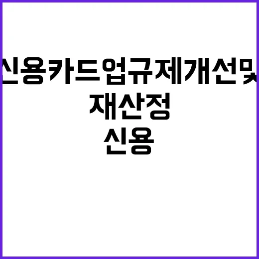 신용카드업 규제 개선 및 재산정 미확정 사실!