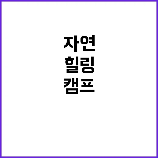 캠프우아 자연 속 …