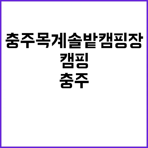 충주 목계솔밭 캠핑…