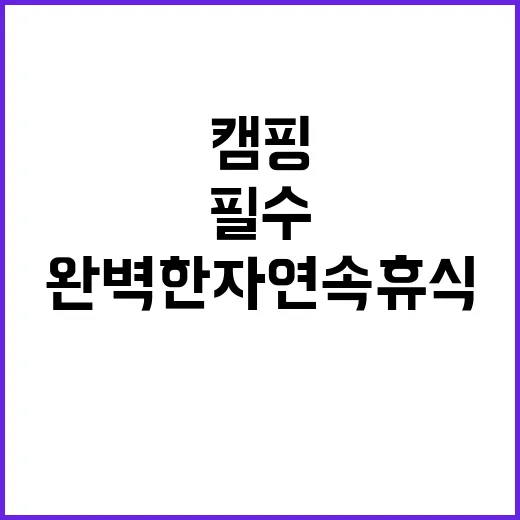 캠핑클라쓰 여름 필…