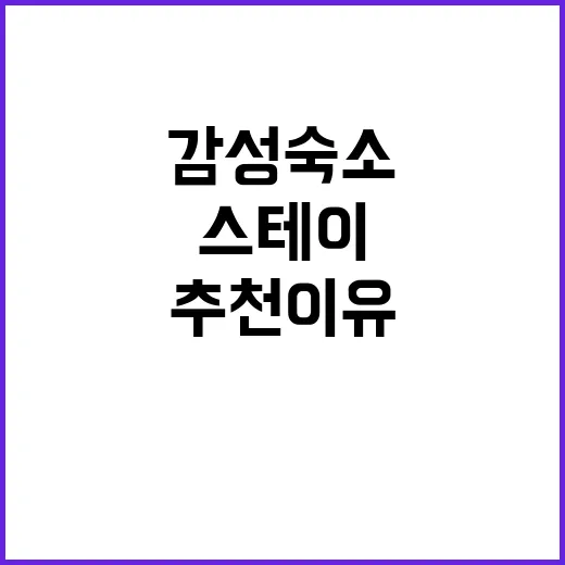 스테이아웃