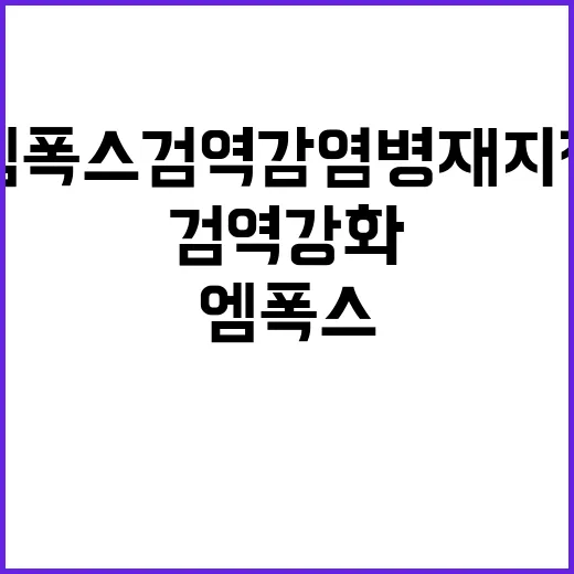 엠폭스 검역감염병 재지정으로 검역 강화 결정!