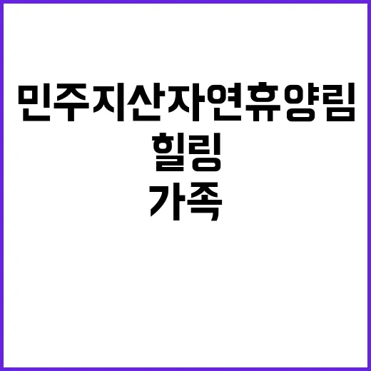 민주지산 자연휴양림