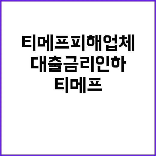 금융위 티메프 피해업체 대출금리 인하 미결정