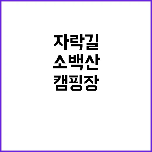 소백산 자락길 캠핑…