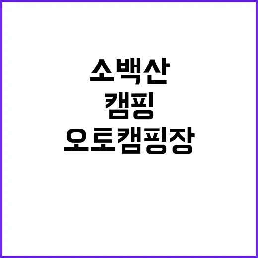 소백산오토캠핑장